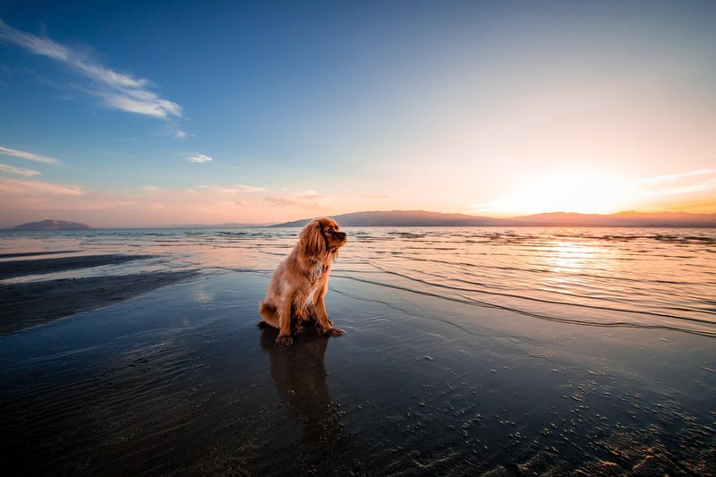Beach Sunset